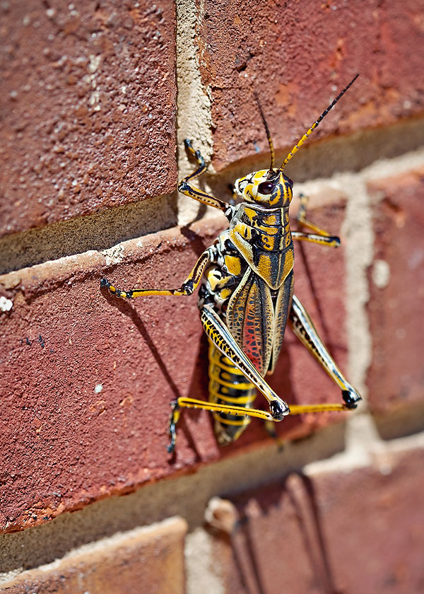 20090909_0021